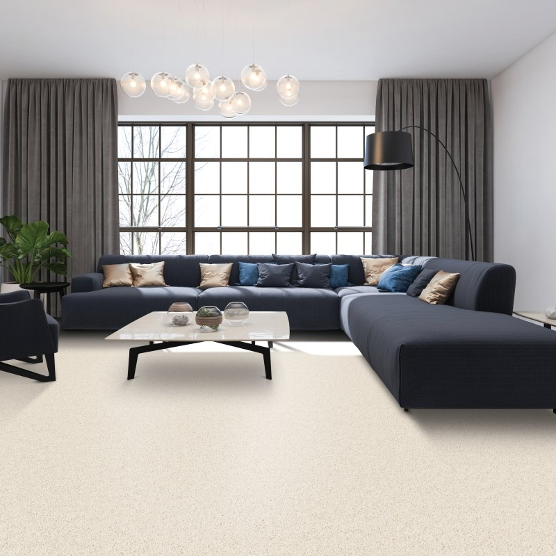 Living room with comfy carpet -  Creative Outlet II-Honeywood